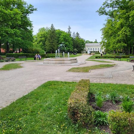 Villa Klara Cieplice イェレニャ・グーラ エクステリア 写真