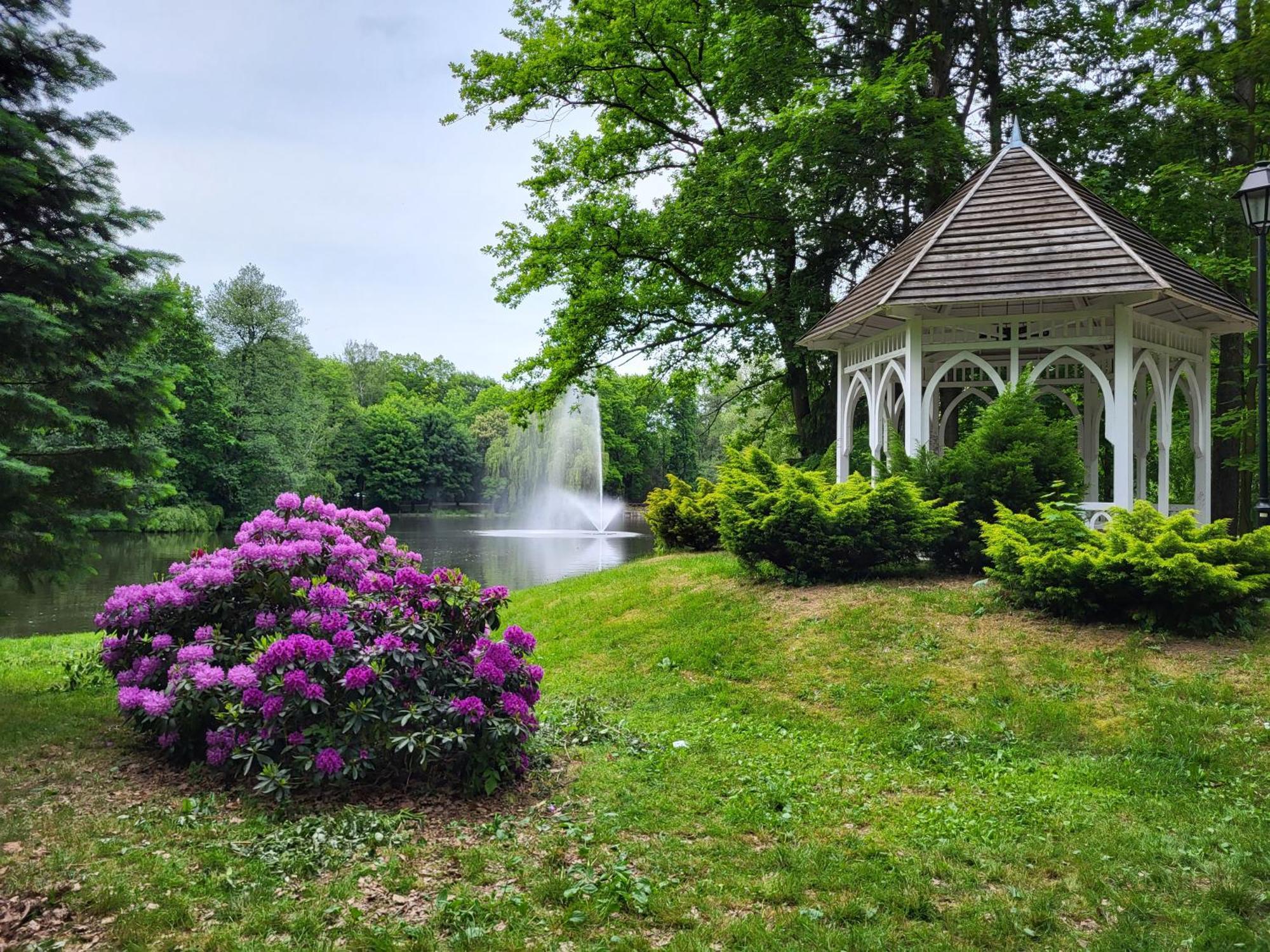 Villa Klara Cieplice イェレニャ・グーラ エクステリア 写真